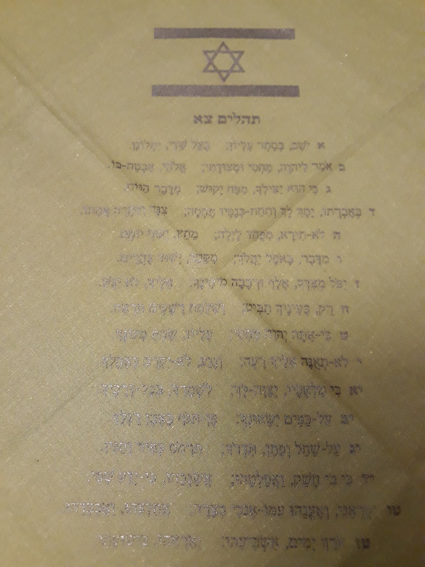 Psalm 91 Bandana (Various Color Patterns)